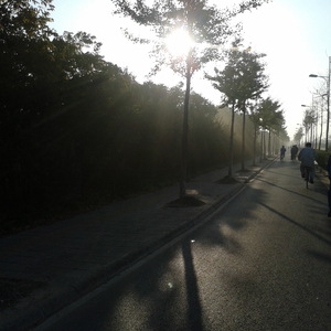 真人做爰高潮免费观看
