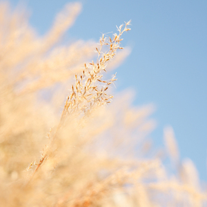 真人做爰高潮免费观看
